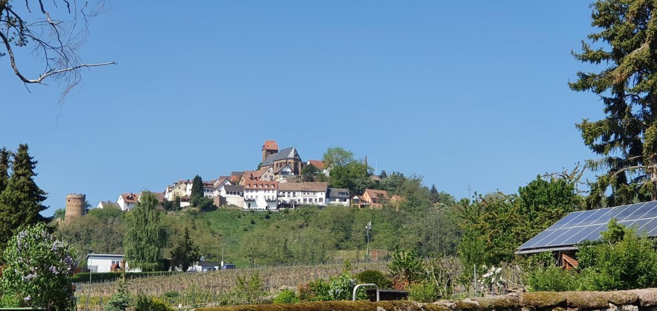 Landgasthaus "Zum Engel" Neuleiningen Zewnętrze zdjęcie