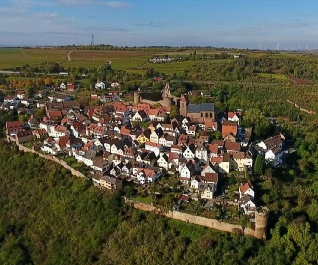 Landgasthaus "Zum Engel" Neuleiningen Zewnętrze zdjęcie